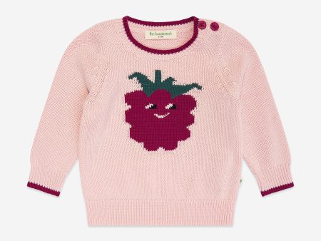 Girls Blackberry Knit Jumper in Pink For Discount