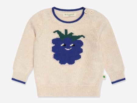 Boys Blackberry Knit Jumper in Ivory Fashion