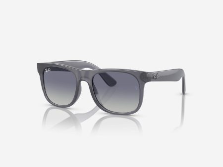 Boys Justin Sunglasses in Blue Online Hot Sale