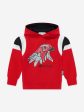 Roberto Cavalli Boys Eagle Hoodie in Red For Discount