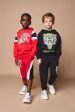 Roberto Cavalli Boys Eagle Hoodie in Red For Discount