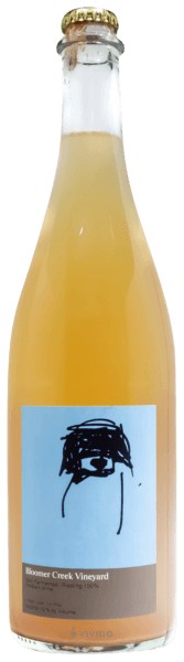 Bloomer Creek Vineyard - Skin Fermented Riesling Pétillant 2021 (750ml) Online Hot Sale