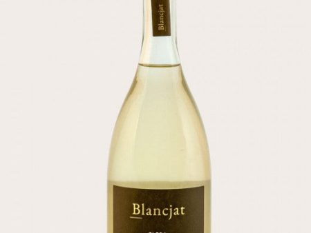 Blancjat - Glera Frizzante Sur Lie NV (750ml) Online now