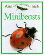 Dk: Eye Openers:15 Mini Beasts [1992] hardback Online Sale